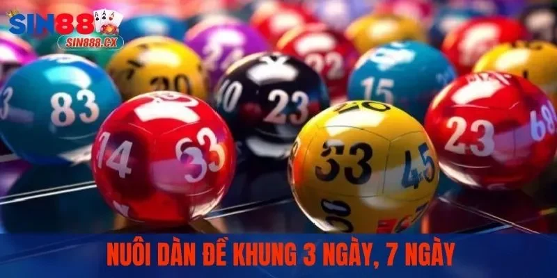 Dàn Đề 50 Số | Kỹ Thuật Với Phương Pháp Soi Cầu Hiệu Quả 3 Cách nuôi dàn đề với 50 số theo khung 3 đến 7 ngày