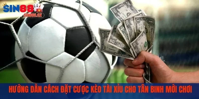 Hướng dẫn đặt cược nhanh