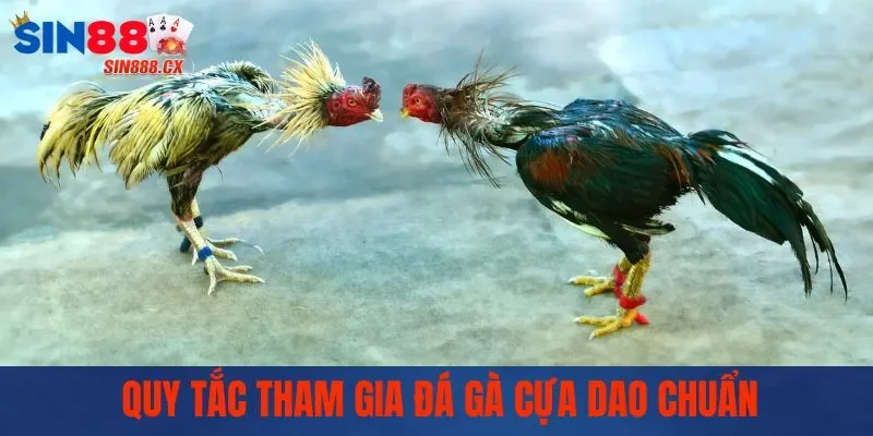 Quy tắc tham gia đá gà cựa dao chuẩn