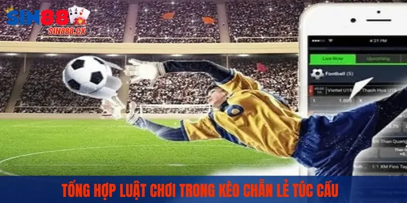 Cách Đặt Kèo Chẵn Lẻ | SIN88 Chia Sẻ Cho Anh Em Bí Kíp Hay 2 Tổng hợp luật chơi trong kèo chẵn lẻ túc cầu